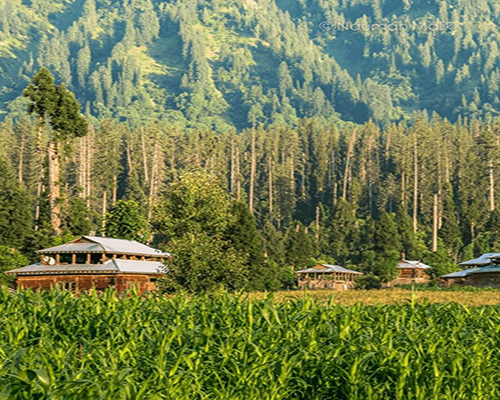 Neelum-valley-L-800x960