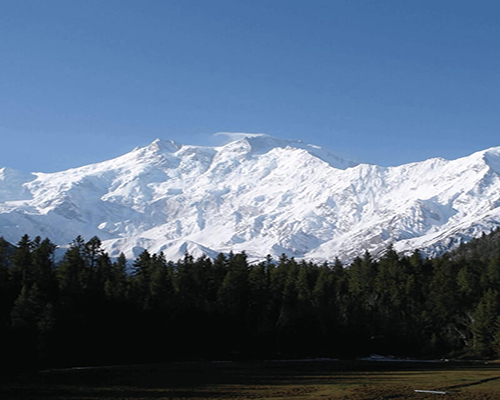 fairymeadows-L-800x960