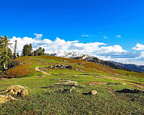 shogran-valley-L-800x960